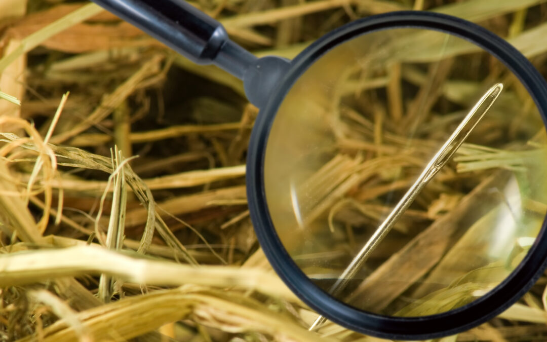 List Filtering in Design Studio for GENESIS®