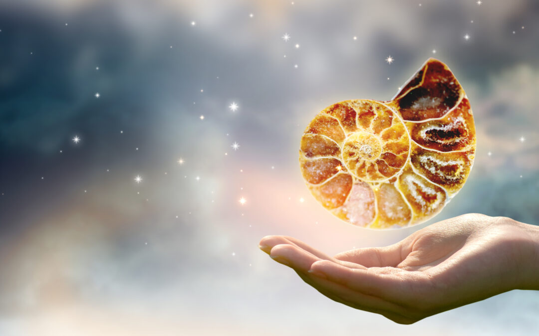 Shape Optimization Techniques for Designing Features – Part II