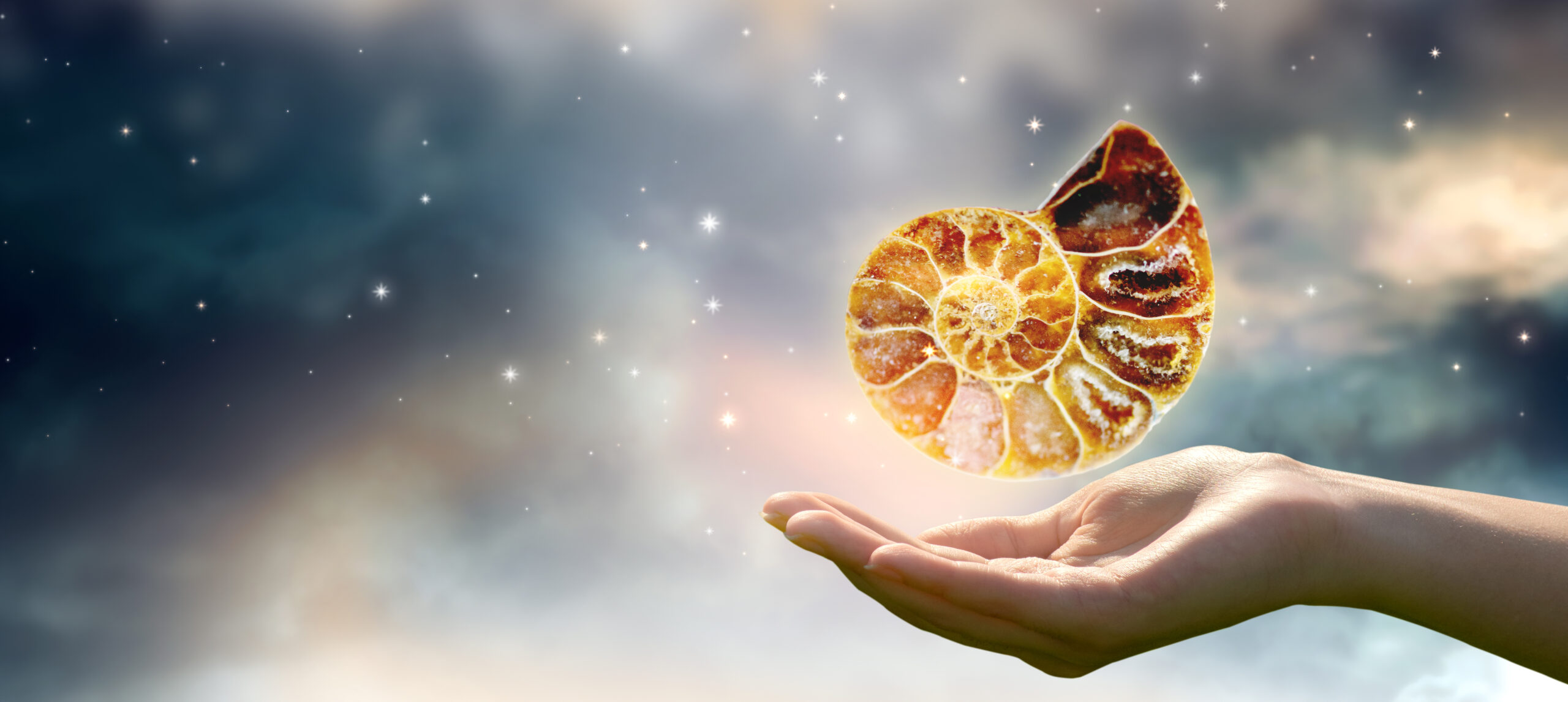 Human,Hand,Holding,Ammonite,Fossil,In,Universe,Against,Space,Sky