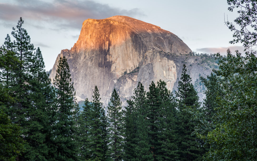 Remembering Dr. Garret N. (Gary) Vanderplaats